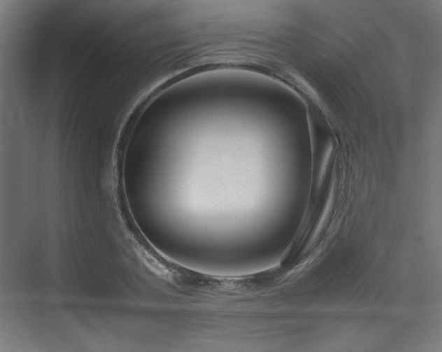 X0000074210787200608251101