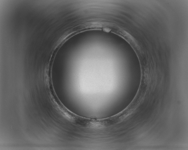 X0000074210794200608251101