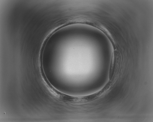 X0000074210795200608251101