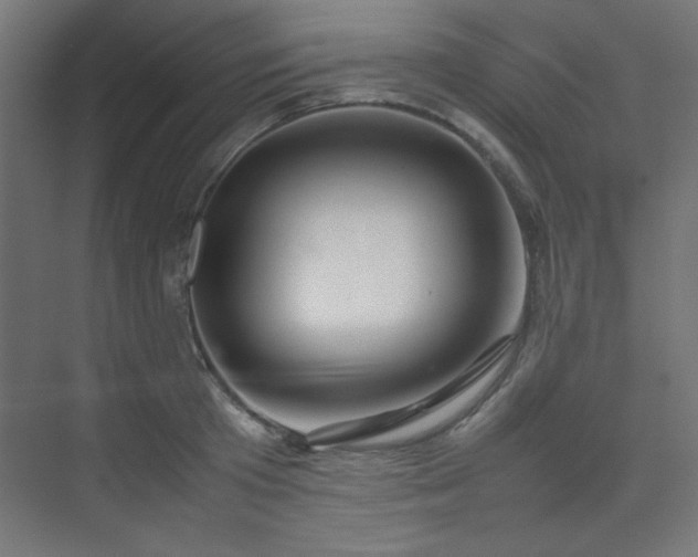 X0000074210801200608251101