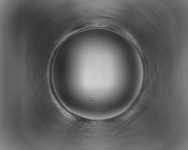 X0000074210803200608251101