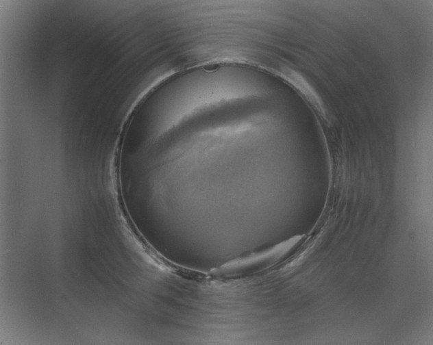 X0000074210806200608251101