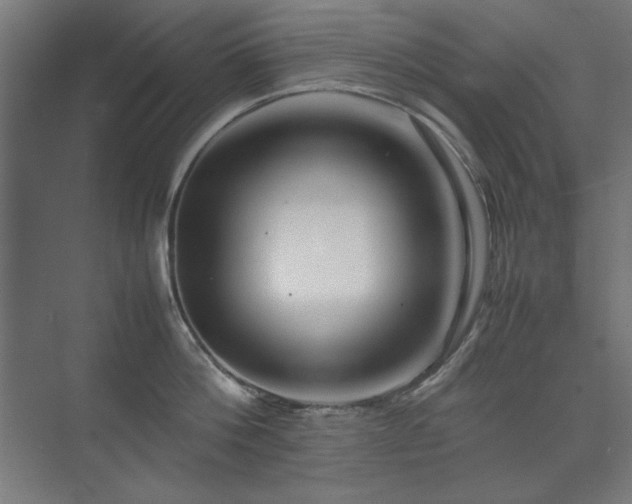 X0000074210812200608251101