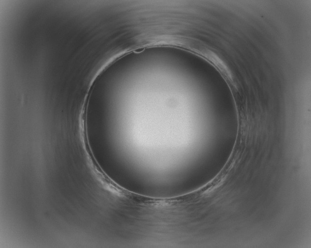X0000074210814200608251101