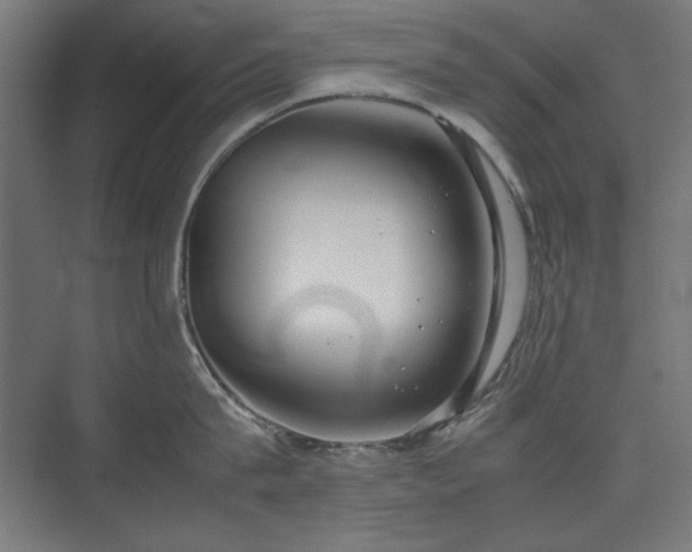 X0000074210815200608251101