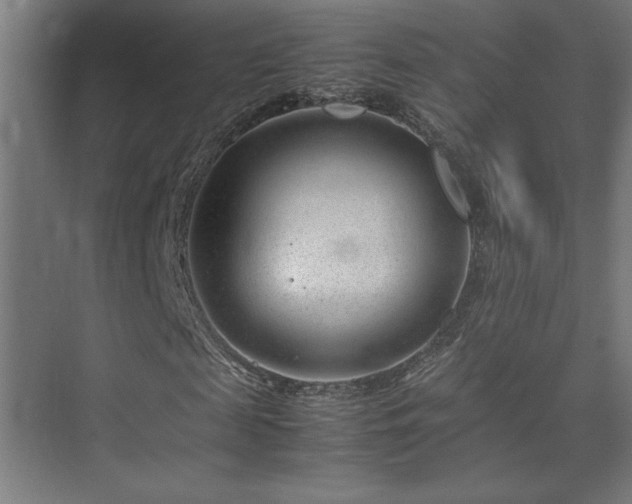 X0000074210817200608251100