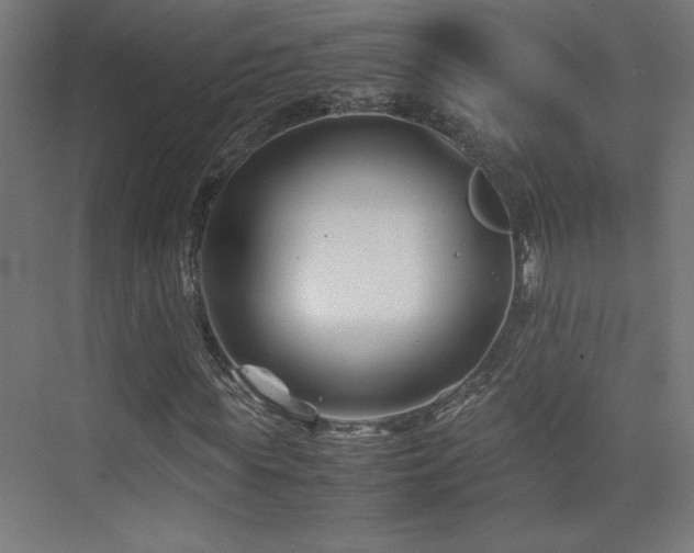 X0000074210819200608251100
