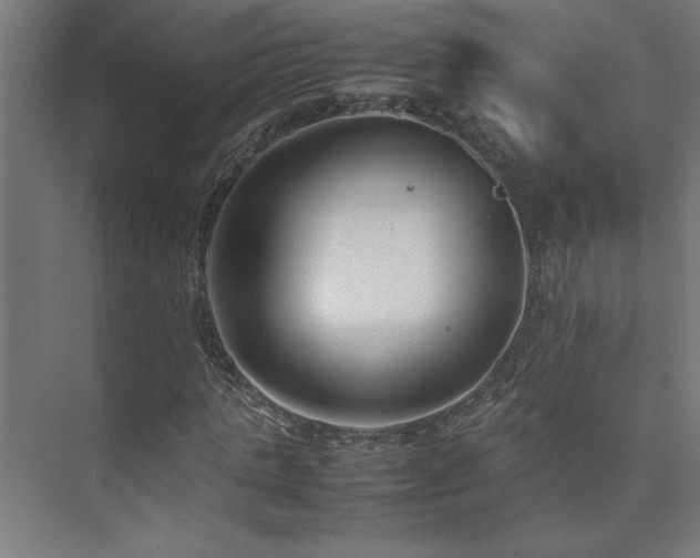 X0000074210821200608251100