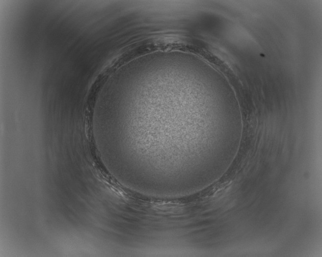 X0000074210823200608251100