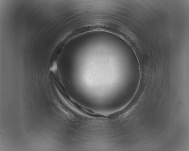 X0000074210826200608251100