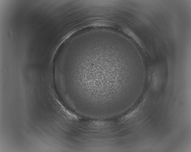 X0000074210829200608251100