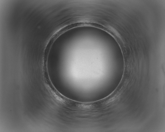 X0000074210831200608251100