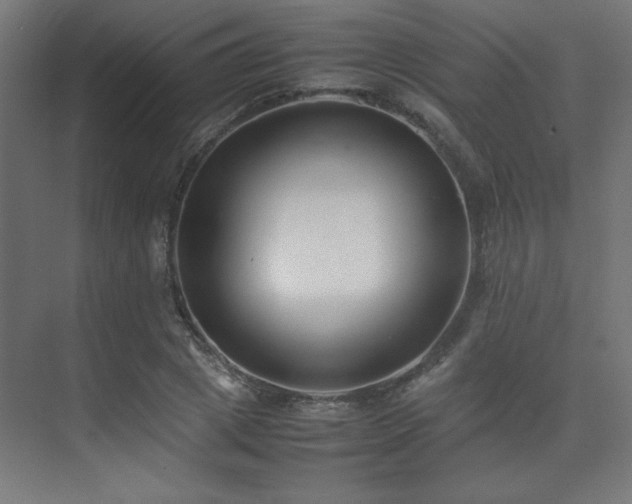 X0000074210833200608251100