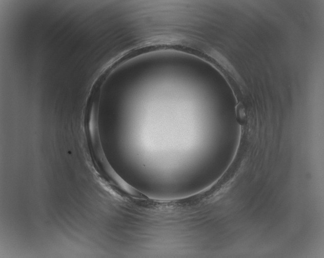 X0000074210834200608251100