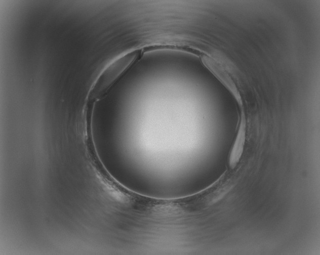 X0000074210838200608251100