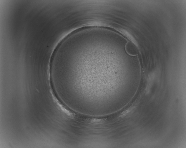 X0000074210839200608251100