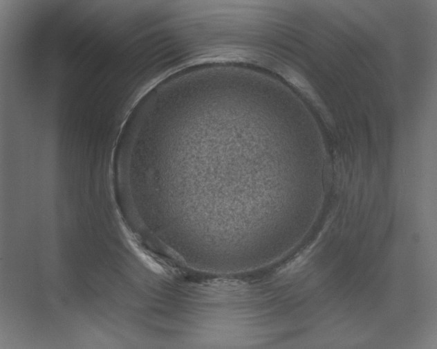 X0000074210842200608251100