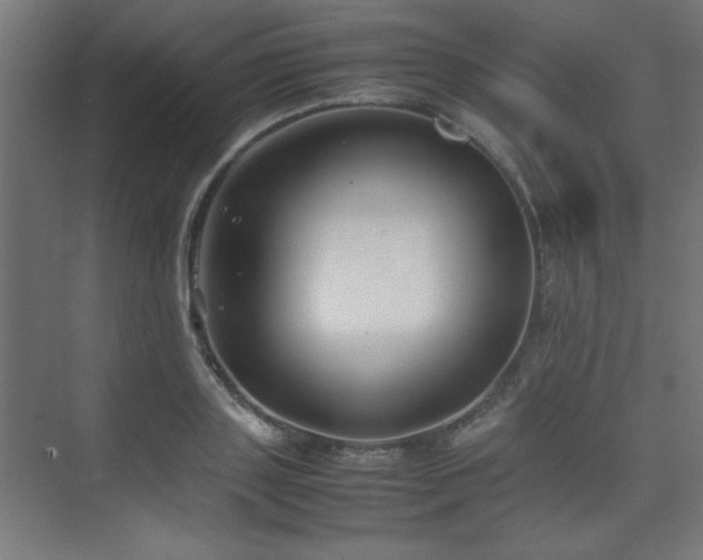 X0000074210843200608251100