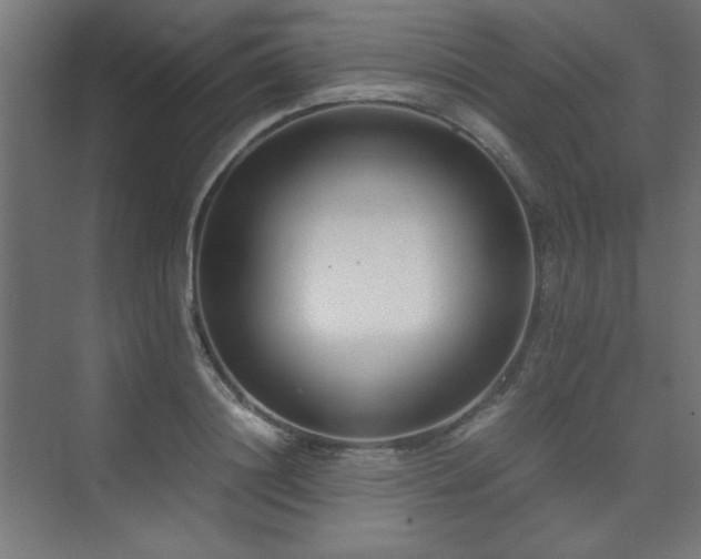 X0000074210844200608251101