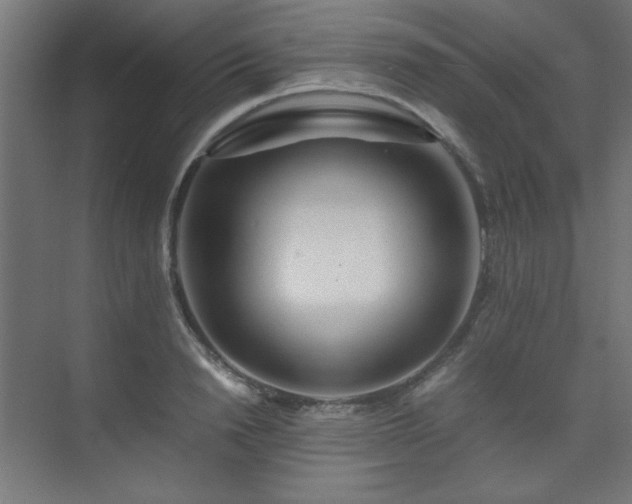 X0000074210846200608251101