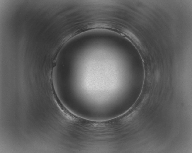 X0000074210849200608251101