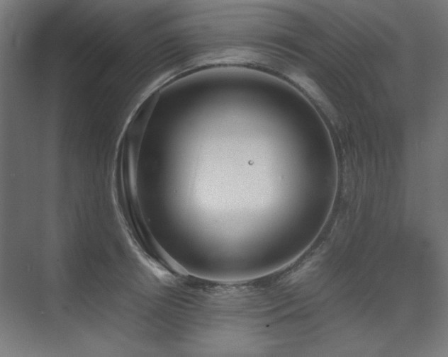 X0000074210850200608251101