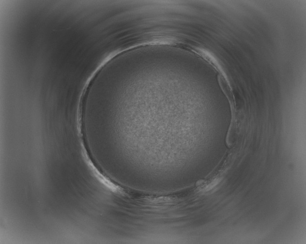 X0000074210851200608251101
