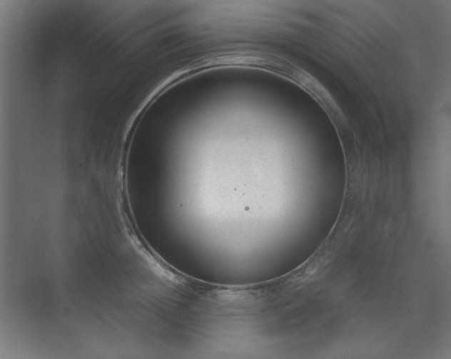X0000074210852200608251101