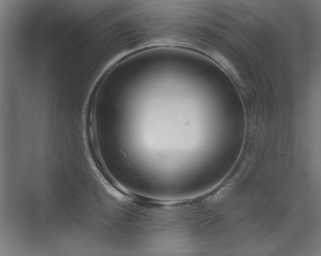 X0000074210854200608251101