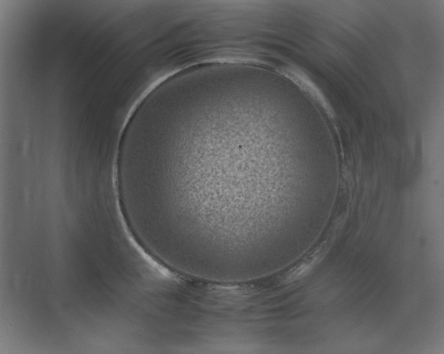 X0000074210855200608251101