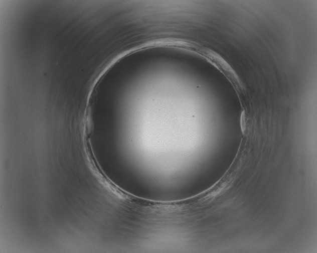 X0000074210860200608251101