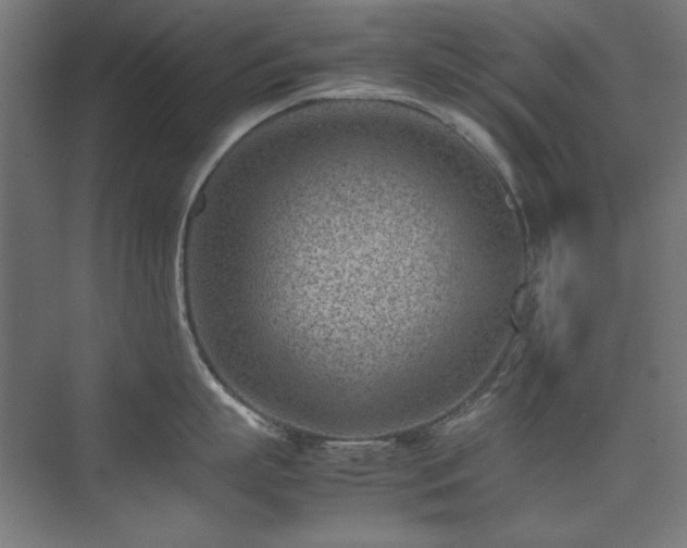 X0000074210863200608251101