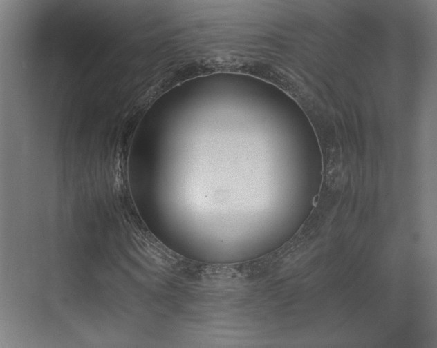 X0000074210866200608251100