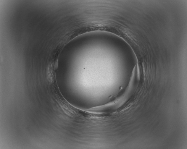 X0000074210868200608251100