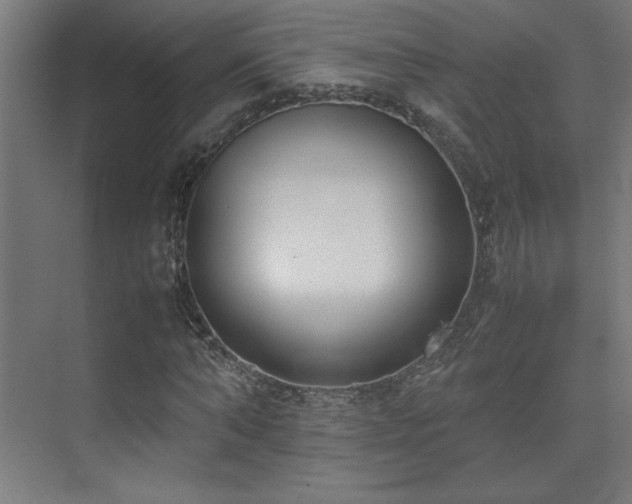 X0000074210870200608251100