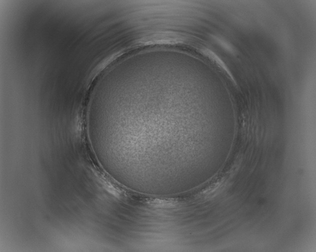 X0000074210874200608251100