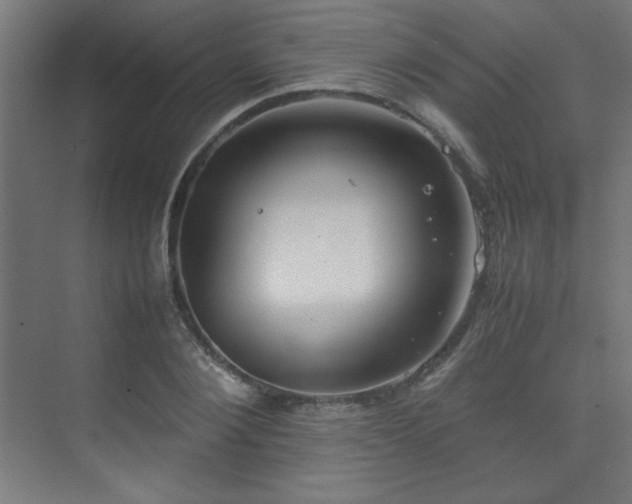 X0000074210884200608251100