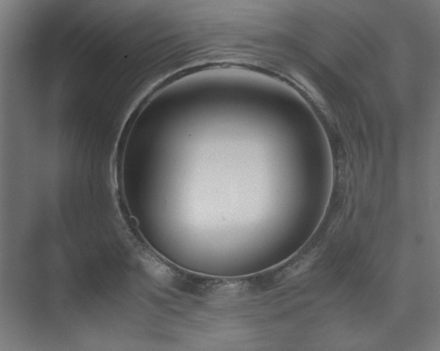 X0000074210891200608251100