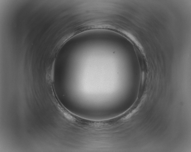 X0000074210897200608251059