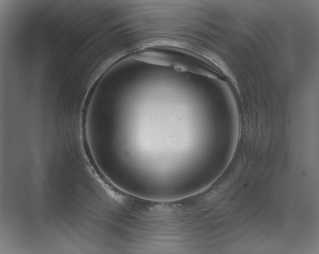 X0000074210898200608251059