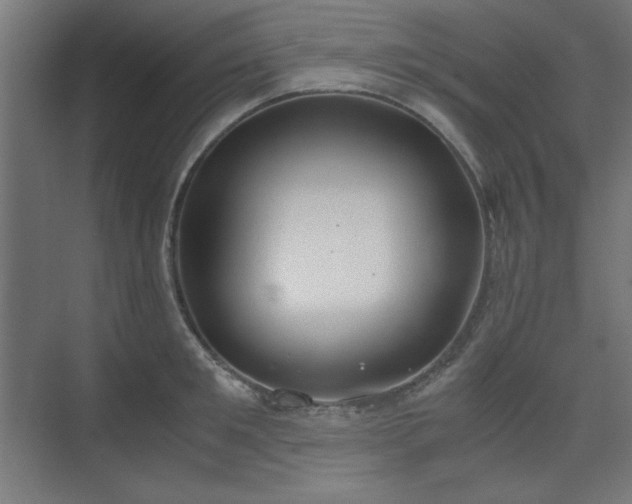 X0000074210901200608251059