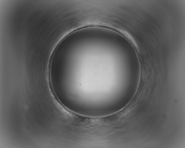 X0000074210903200608251059