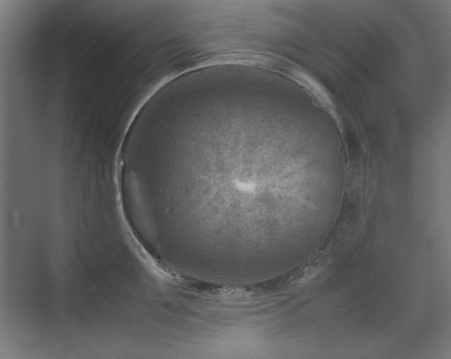 X0000074210907200608251059
