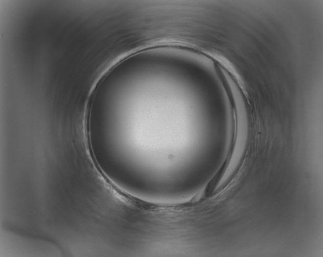 X0000074210910200608251059