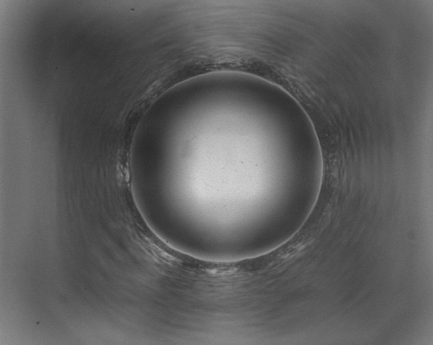 X0000074210916200608251058