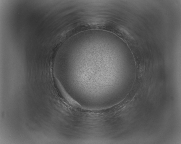 X0000074210917200608251058