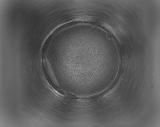 X0000074210923200608251059
