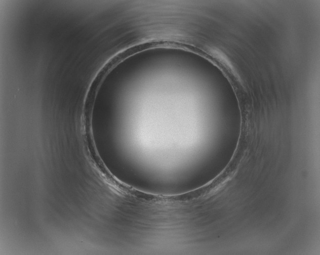 X0000074210924200608251059