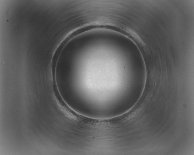 X0000074210934200608251059