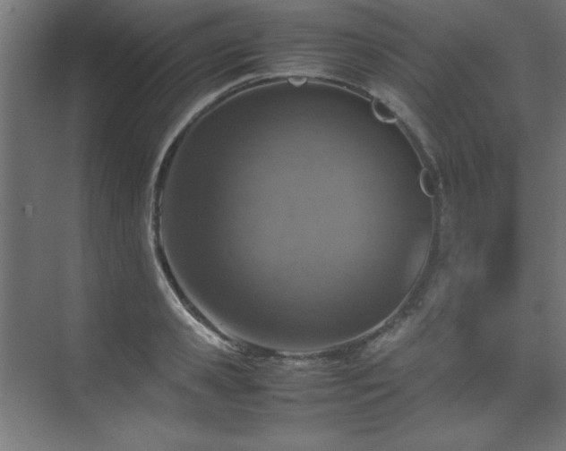 X0000074210941200608251059